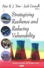 Strategizing Resilence and Reducing Vulnerability