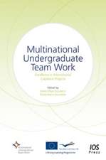 Multinational Undergraduate Team Work