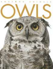 Owls