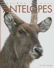 Antelopes