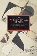 Meanings Of Work, The: Essays On The Affirmation And Negation Of Work: Historical Materialism, Volume 43