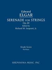 Serenade for Strings, Op.20: Study score