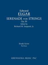 Serenade for Strings, Op.20