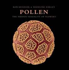 Pollen: The Hidden Sexuality of Flowers