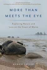 More Than Meets the Eye: Exploring Nature on the Coast of Maine