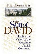 Son of David: Healing the Vision of the Messianic Jewish Movement