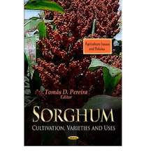 Sorghum