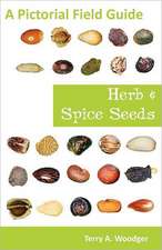 Herb and Spice Seeds