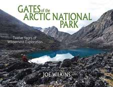 Gates of the Arctic