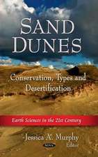 Sand Dunes