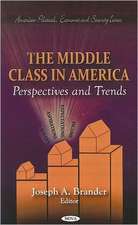 The Middle Class in America