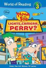 Lights, Camera, Perry?