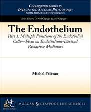 The Endothelium, Part I