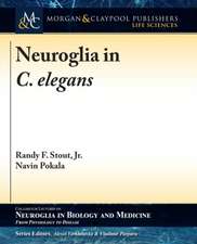 Neuroglia in C. elegans