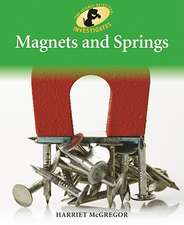 Magnets and Springs