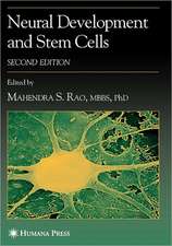 Neural Development and Stem Cells