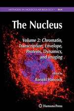 The Nucleus