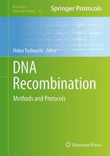 DNA Recombination: Methods and Protocols