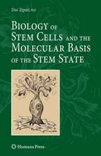 Biology of Stem Cells and the Molecular Basis of the Stem State