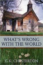 What's Wrong with the World: A Confederate Memoir of Civil War