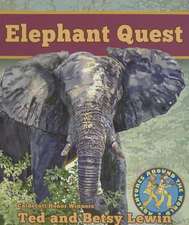 Eleph Elephant Quest