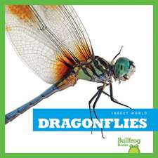 Dragonflies