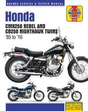 Honda CMX250 Rebel & CB250 Nighthawk Twins (85–16)