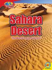 Sahara Desert