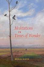 Meditations in Times of Wonder