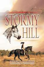 Stormy Hill