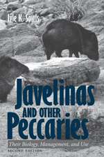 Javelinas and Other Peccaries