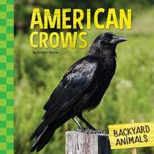 American Crows