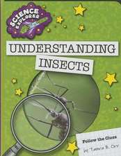 Understanding Insects