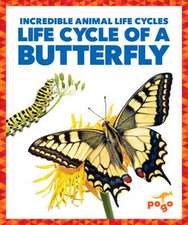 Life Cycle of a Butterfly