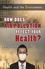 How Does Air Pollution Affect Your Health?