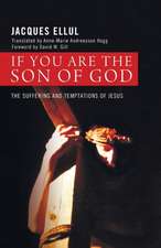 If You Are the Son of God: The Suffering and Temptations of Jesus