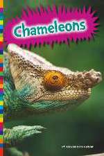 Chameleons