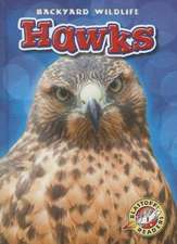 Hawks