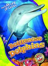 Bottlenose Dolphins