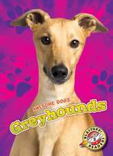 Greyhounds