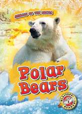 Polar Bears