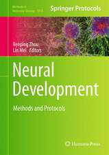 Neural Development