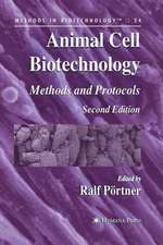 Animal Cell Biotechnology: Methods and Protocols