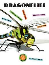 Dragonflies