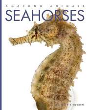 Seahorses