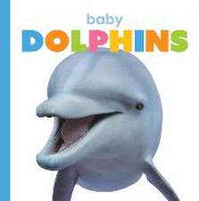 Baby Dolphins