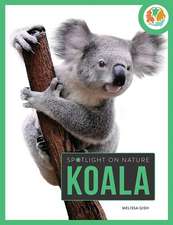 Koala