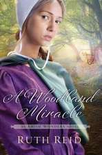 A Woodland Miracle: An Amish Wonders Novel