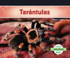 Tarantulas (Tarantula Spiders)