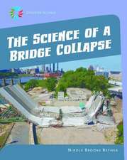 The Science of a Bridge Collapse